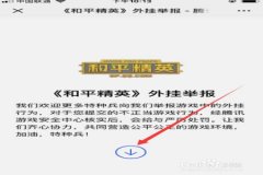 和平精英辅助网ios（和平精英辅助网）